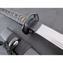 Shinden Fudo Ryu Katana